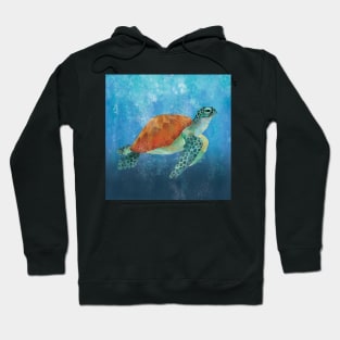 Green Sea Turtle - with background Hoodie